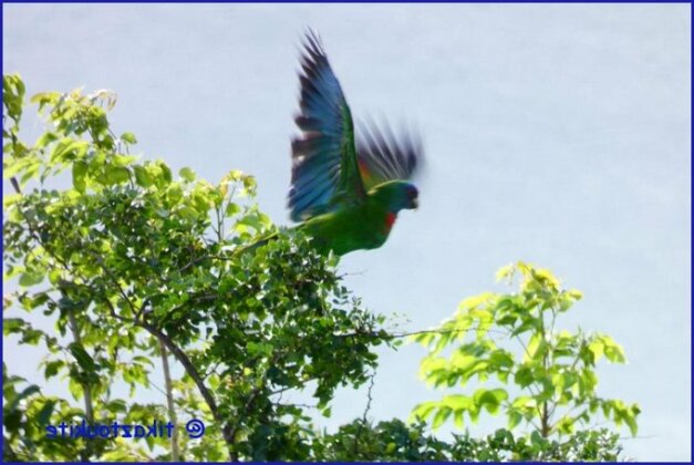 Tikaz Toukite - Photo5