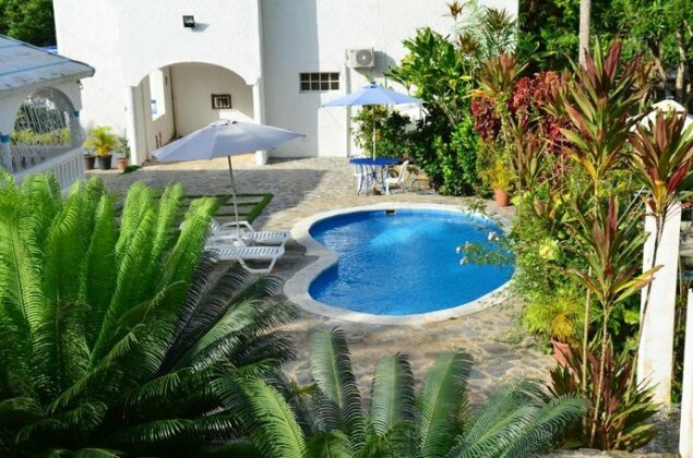 Trade winds vacation rentals - Photo2