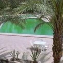 Ritane Palace Hotel - Photo3