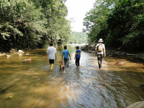 Grand Selva Lodge & Tours - Photo2