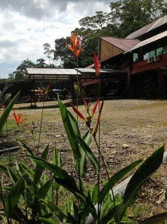Grand Selva Lodge & Tours - Photo3
