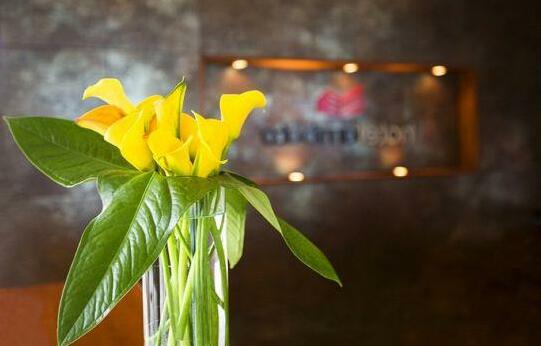 Hotel Ambato - Photo2