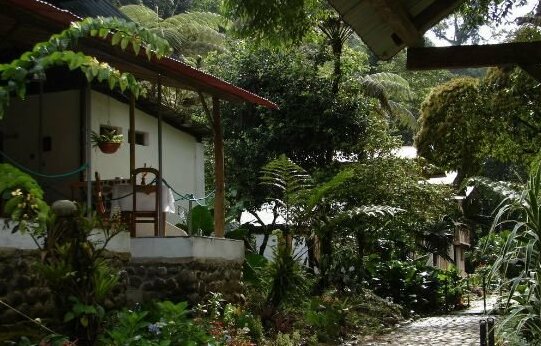 PlayaSelva Lodge - Photo2