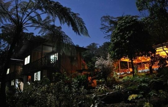 PlayaSelva Lodge - Photo4