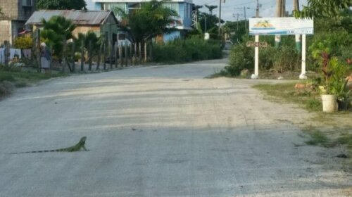 Hotel Selmar