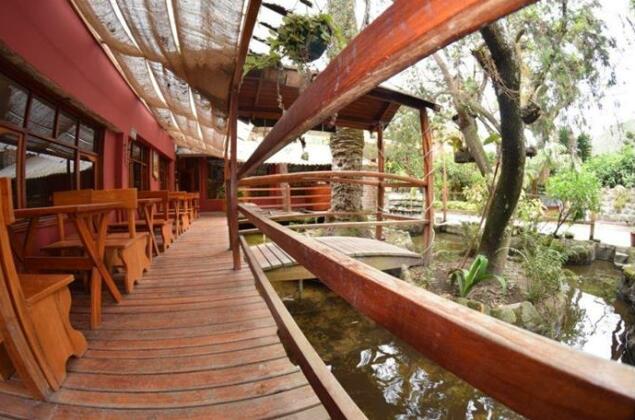 Cedro Banos - Photo5