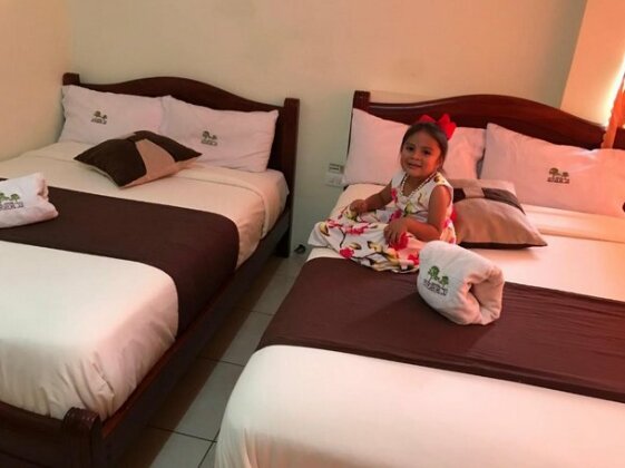 Hostal El Bosque Inn - Photo3