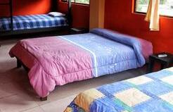 Hostal El Recreo - Photo5