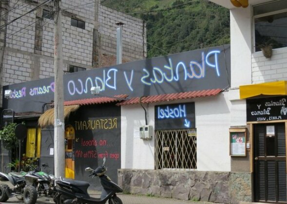 Hostal Plantas y Blanco - Photo4
