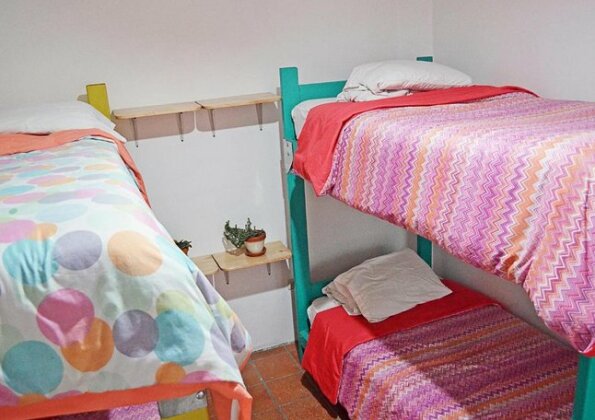 AlterNative Hostels - Photo4