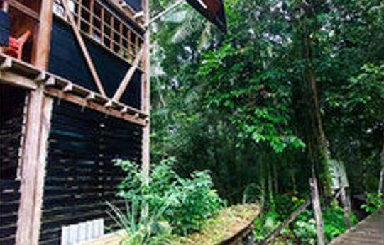 Jamu Lodge