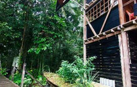 Jamu Lodge