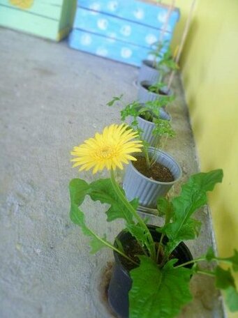 Janna's House - Photo3