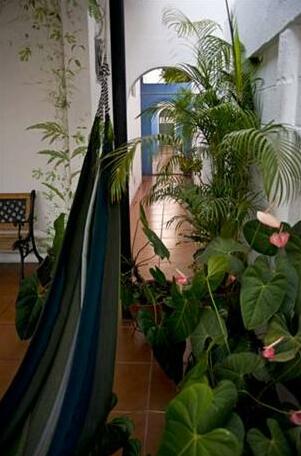 Tangara Tours and Guest House - Photo5