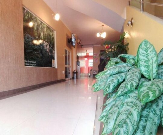 Sol Del Sur Hotel - Photo3