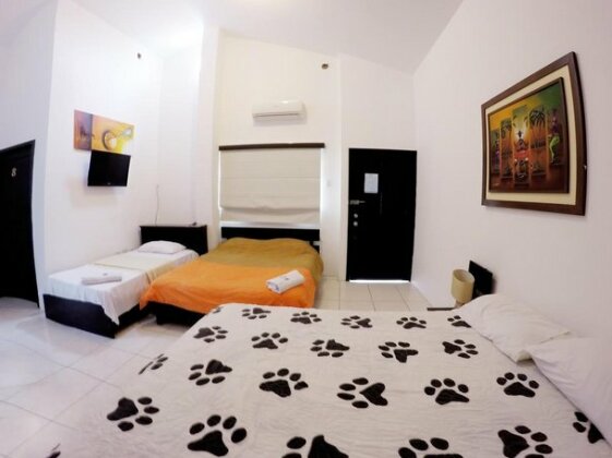 Hostal Mar y Tierra - Photo3