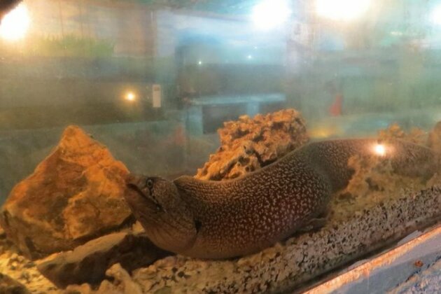 Acuario De Mindo - Photo4
