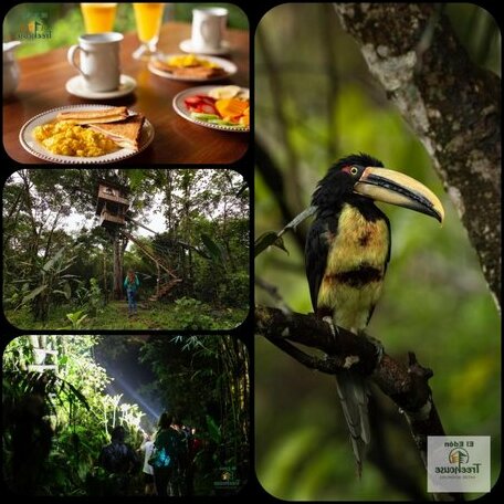 El Eden Treehouse - Photo2