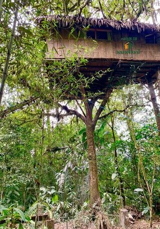 El Eden Treehouse - Photo3