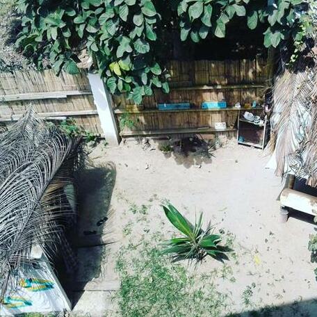 Raices Mompiche - Photo3