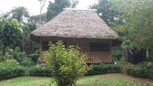 Dolphin Lodge Napo River