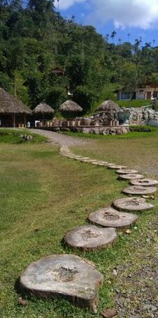 Amuntai Rainforest Lodge - Photo2