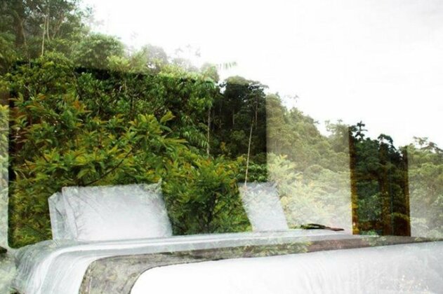 Amuntai Rainforest Lodge - Photo5