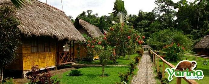 Yarina Eco Lodge