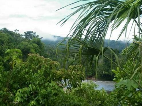 Banana Lodge - Photo2