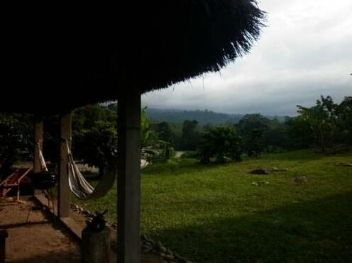 Banana Lodge - Photo4