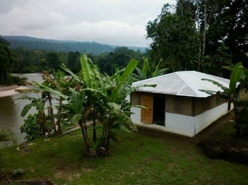 Banana Lodge - Photo5