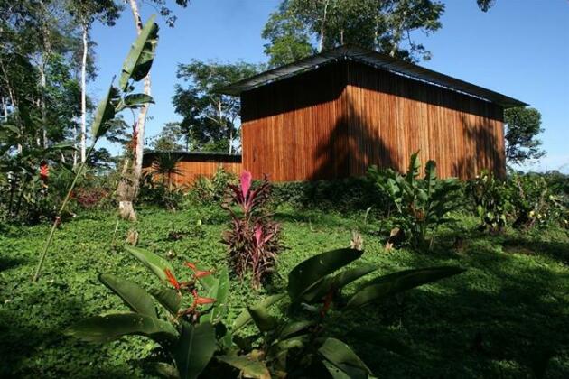 Hamadryade Lodge - Photo2
