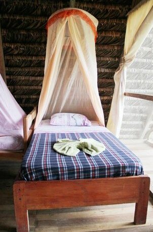 Sinchi Warmi Amazon Lodge - Photo3