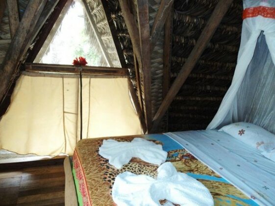 Sinchi Warmi Amazon Lodge - Photo5