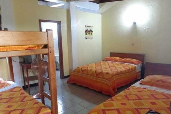 Hostal El Colibri - Photo3