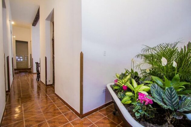 Guesthouse Nelson - Photo2