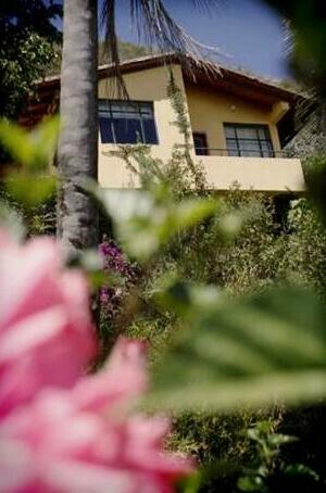 Ventana Bed and Breakfast