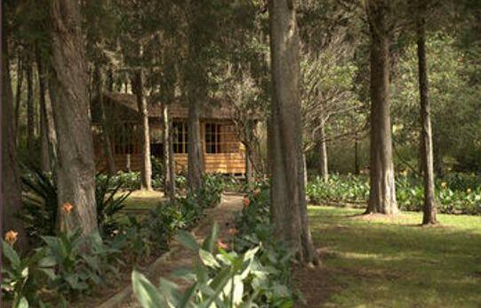 Inraki Lodge - Photo3