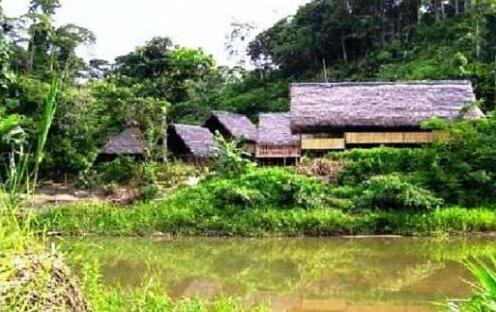Yacuma Ecolodge - Photo3