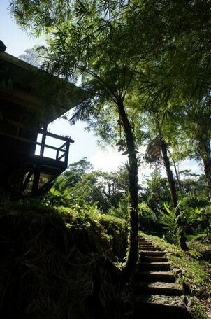Hakuna Matata Lodge - Photo2