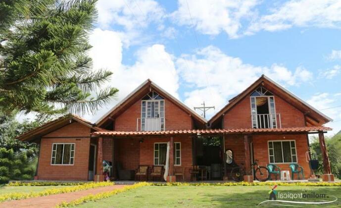 Molino Tropical