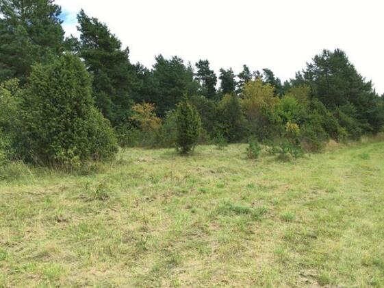 Salinomme Campground - Photo4