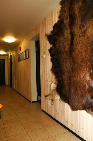 Laululinnu Guesthouse - Photo4