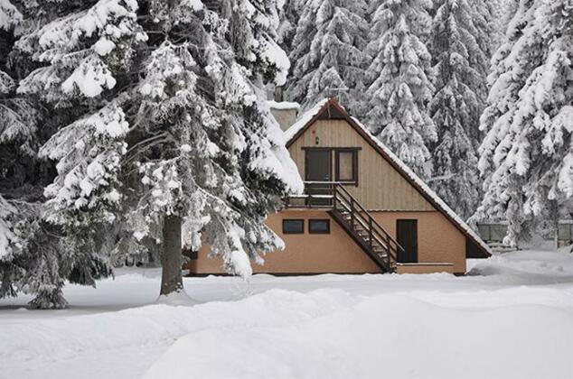 Primalend Holiday Centre - Photo3