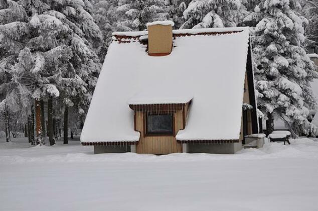 Primalend Holiday Centre - Photo4