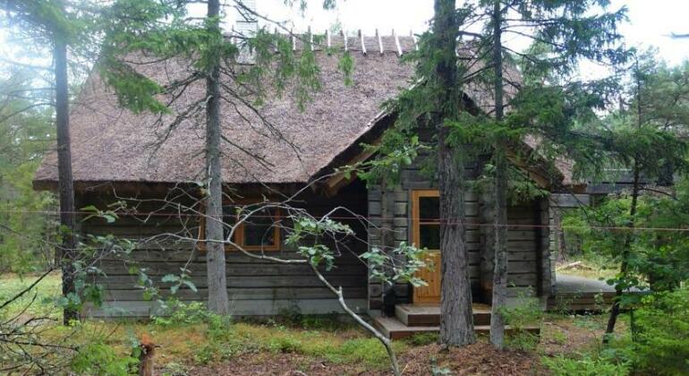 Rommi Holiday Home - Photo3