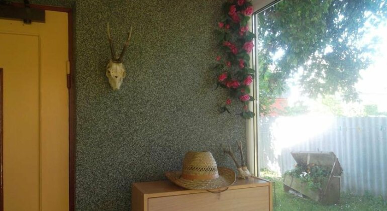 Alviine Guesthouse - Photo2