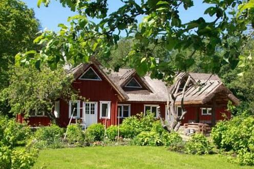 Laugu Holiday Resort - Photo5