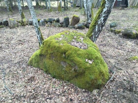 Tamme Camping - Photo3