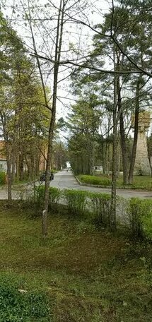 12 Pargi - Photo5